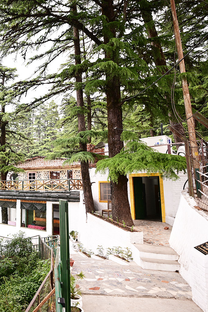 light of landour